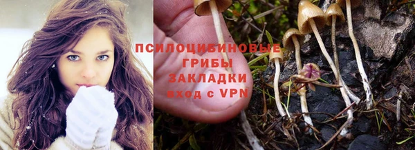 не бодяженный Арсеньев