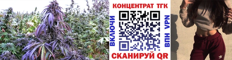 купить наркотик  Советская Гавань  Дистиллят ТГК вейп с тгк 