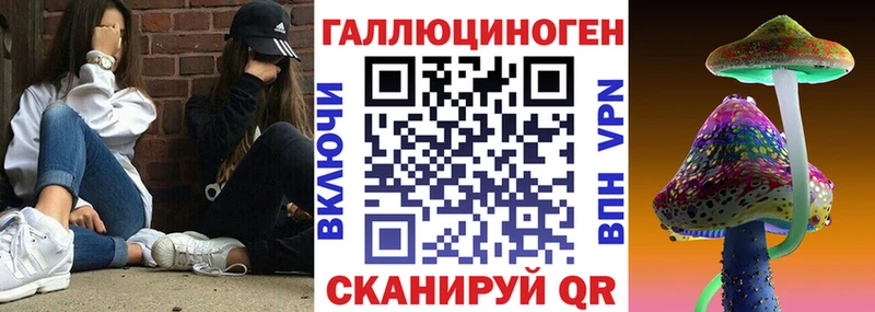 Псилоцибиновые грибы Cubensis  Советская Гавань 